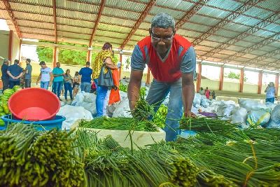 notícia: Mais de 160 mil pessoas são beneficiadas, em 10 anos, com distribuição de alimentos