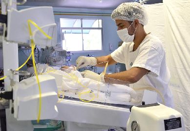notícia: Governo do Amapá habilita 17 leitos de UTI Neonatal e Canguru