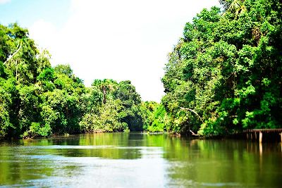 notícia: Amapá tem o menor índice de desmatamento da Amazônia Legal