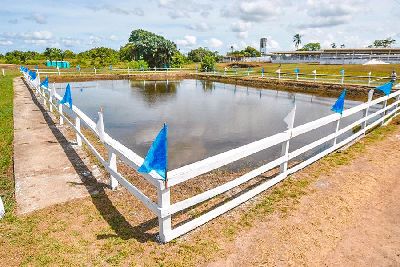 notícia: Pesque e troque terá 200 peixes para pescaria solidária