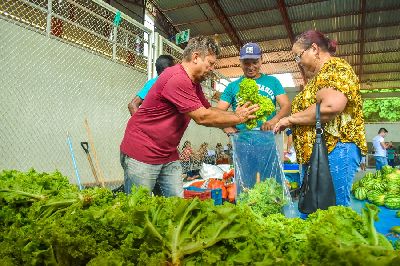 notícia: Primeira feira do PAA em Macapá movimenta mais de R$ 54 mil na agricultura familiar