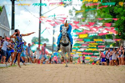 notícia: Cavalos que participarão de cenário da Festa de São Tiago passam por inspeção da Diagro