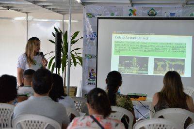 notícia: Produtores e criadores de búfalo do Amapá podem aderir ao Promebull 