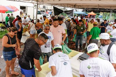 notícia: Semana Santa: Começa a venda de pescado do Projeto Peixe Popular