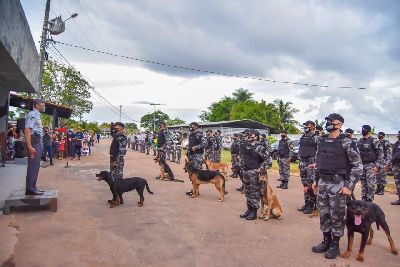notícia: Comemoração de 18 anos: Bope forma agentes para atuação com cães policiais