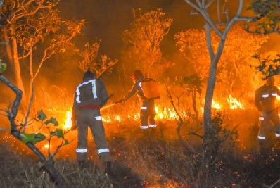 notícia: No Amapá, chuvas acima da média reduziram focos de incêndio em setembro