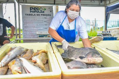 notícia: Com a presença da PM, Peixe Popular inicia vendas para Semana Santa