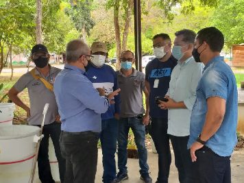 notícia: SVS e IEPA executam projetos de inovação tecnológica para combate ao Aedes aegypti 
