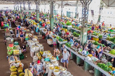 notícia: Feira do Produtor: funcionamento retorna com 40% da capacidade