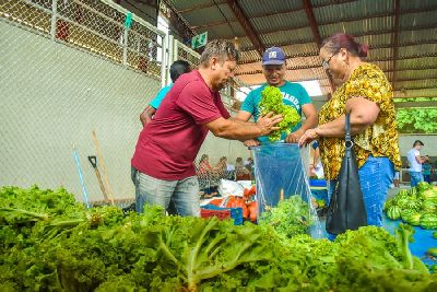 notícia: PAA 2020: Governo do Amapá lança nova chamada pública para agricultores e entidades 