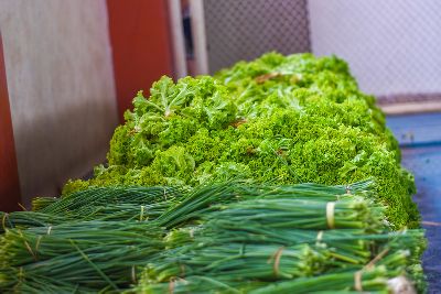 notícia: PAA 2020: Amapá terá R$ 7,2 milhões para investir na agricultura familiar  