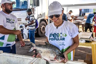 notícia: Peixe Popular: preços variam de R$ 7 a R$ 15 reais em três pontos de vendas