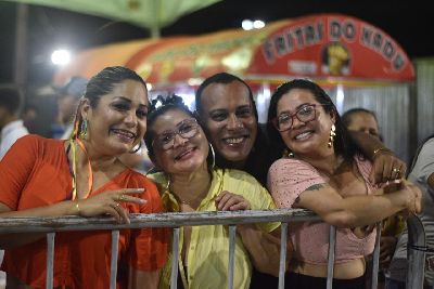 notícia: Desfile das escolas de samba: veja fotos do público nos dias de programação