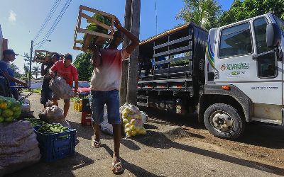 notícia: Programa de Aquisição de Alimentos terá R$ 1,9 mi para agricultura familiar em 2020