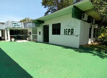 notícia: Com base em protocolos de saúde, IEPA divulga plano de reabertura das atividades
