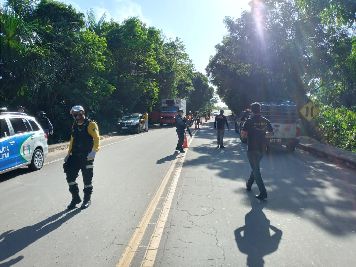 notícia: Fiscalização na AP-010 aborda 60 veículos em combate ao transporte clandestino