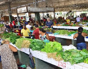 notícia: Feiras do Produtor vão funcionar durante feriado; veja horários