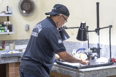 notícia: Politec usa exames de DNA para identificar vítimas do naufrágio