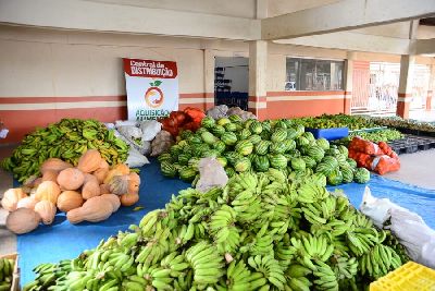 notícia: Primeira feira do PAA 2020 investe mais de R$ 41 mil na agricultura familiar e adquire 9 toneladas de alimentos 