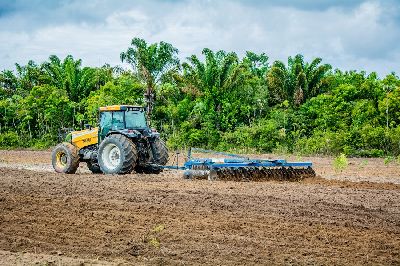 notícia: PPI: Governo incentiva produção de mandioca com mecanização de terras da agricultura familiar