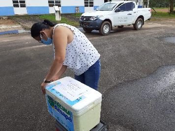 notícia: Covid-19: Governo do Estado distribui 19.510 vacinas para todos os municípios 