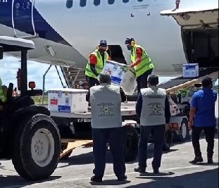 notícia: Amapá recebe mais uma remessa com 12.450 doses de vacina contra covid-19