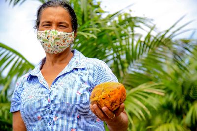 notícia: Governo investe em pesquisas e parcerias para inovar a produção agrícola no centro-oeste do Amapá