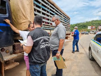 notícia: Governo do Amapá intensifica ações de combate à mosca da carambola no Vale do Jari