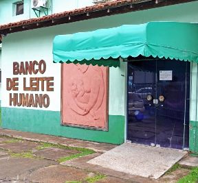 notícia: Banco de Leite Humano pede ajuda para reforçar estoque