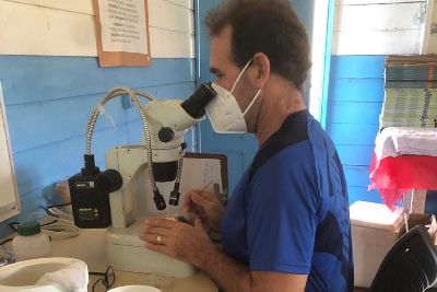 notícia: Governo realiza pesquisa sobre mosquito transmissor da Malária no distrito do Lourenço