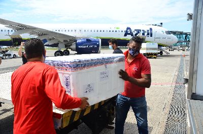 notícia: Covid-19: Amapá recebe 31.170 doses de vacinas em dois dias