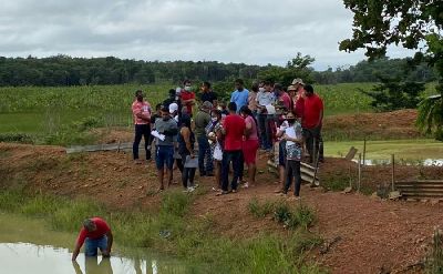 notícia: Governo do Amapá capacita moradores de quilombo com incentivo à produção de peixes