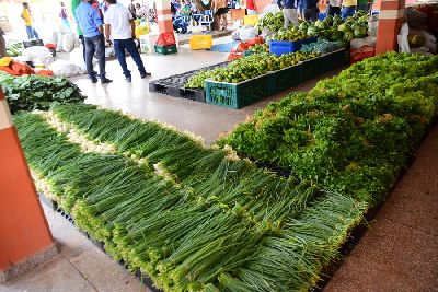 notícia: Governo do Amapá já beneficiou mais de 32 mil pessoas com o PAA 2020/2021 