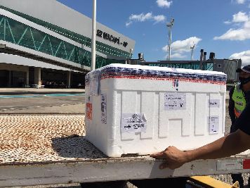 notícia: Amapá recebe novo lote de vacinas contra a covid-19; expectativa é fechar a semana com mais de 23 mil doses recebidas