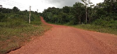 notícia: Governo do Amapá garante tráfego no ramal do Lourenço após trabalho de manutenção