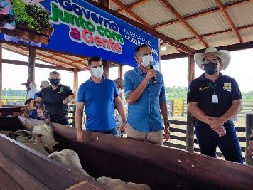 notícia: "Nosso objetivo é ter o Amapá livre de aftosa, sem vacinação", diz governador durante lançamento da campanha de vacinação contra a doença