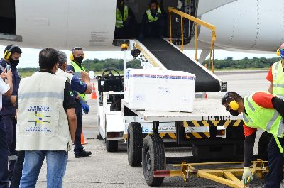 notícia: Governo do Amapá recebe mais 24.750 doses de vacinas contra a covid-19