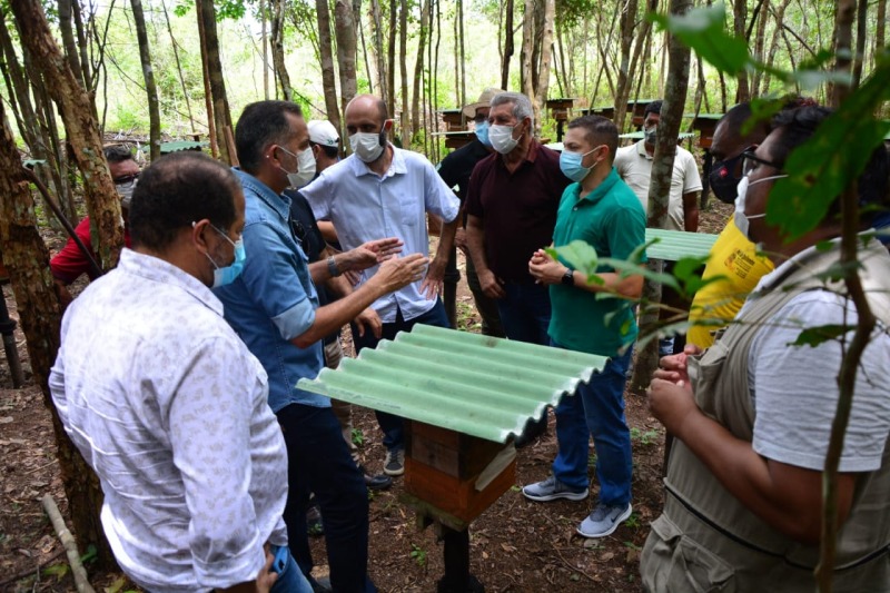 notícia: PPI do Mel: comunidade quilombola ganhará espaço para beneficiamento do produto 