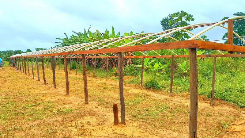 notícia: PPI: Governo do Amapá incentiva produção de hortaliças agroecológicas em Inajá