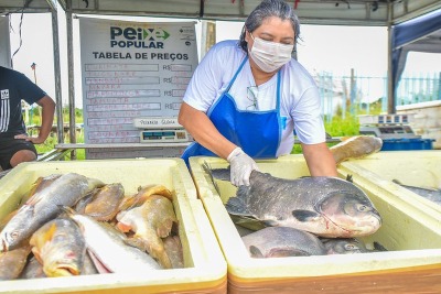 notícia: Peixe Popular: Governo prepara mais de 50 toneladas do pescado para a semana santa