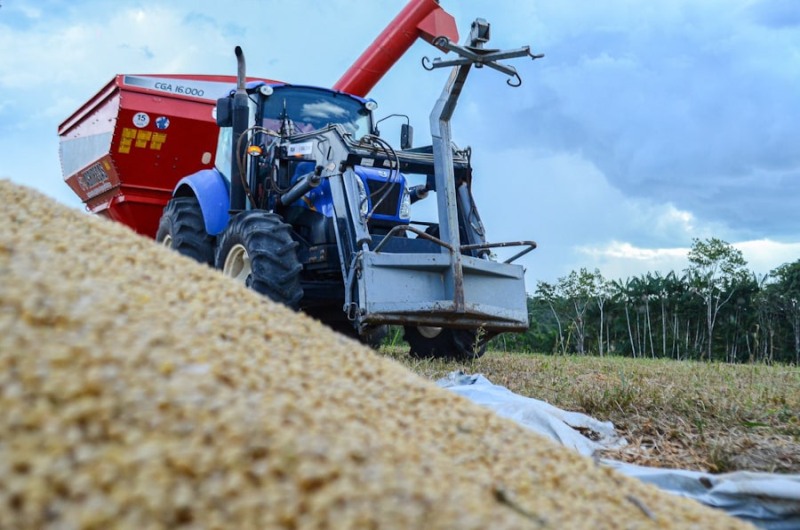 Crédito: Netto Lacerda/GEA