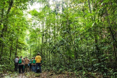 notícia: Governo do Amapá participa de debate sobre uso sustentável e comunitário de florestas na Amazônia