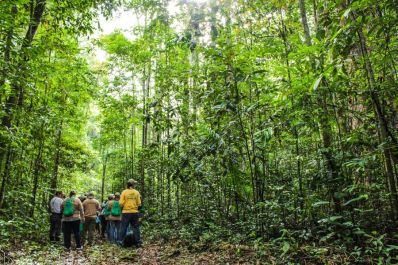 notícia: Desde janeiro, Governo do Amapá impulsiona fortalecimento de políticas ambientais sustentáveis