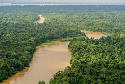 notícia:  No Dia da Amazônia, Governo do Amapá reforça compromisso com o desenvolvimento sustentável