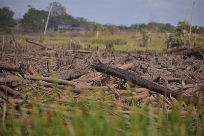 notícia: Consequências da estiagem levam Governo do Amapá a ampliar o decreto de situação de emergência para todo o estado