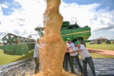 notícia: Com apoio do Governo do Amapá, produtores comemoram colheita de grãos no estado