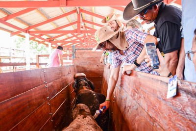 notícia: ‘Vamos trabalhar para ter o Amapá livre de aftosa sem vacinação', garante governador Clécio Luís ao lançar campanha na 52ª Expofeira