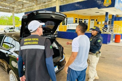 notícia: Governo do Amapá monta barreiras para coibir circulação de raízes e sementes de mandioca contaminadas