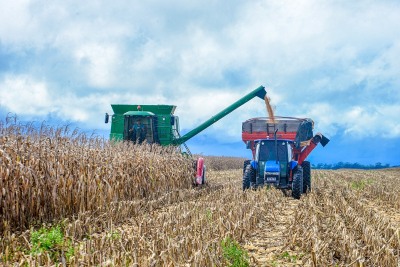 notícia: Dia de Campo: Governo do Amapá faz visita técnica à produção de grãos para incentivo ao agronegócio