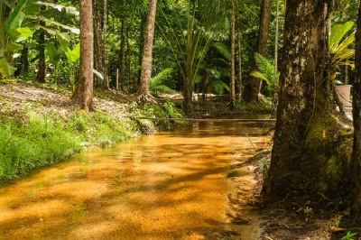 notícia: Governo do Amapá apoia evento que vai reunir alternativas para o desenvolvimento sustentável da Amazônia brasileira 